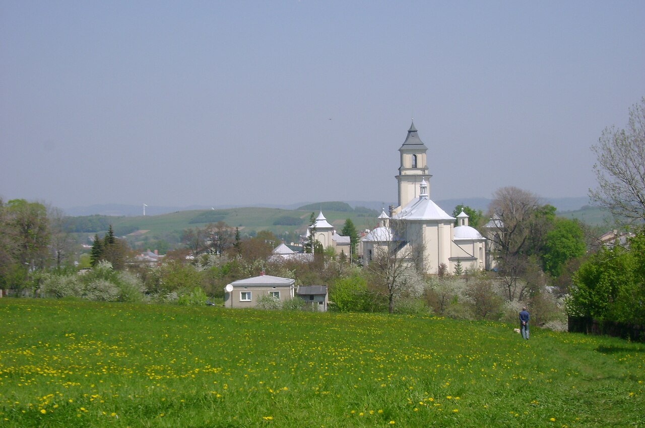 Widok miasta Rymanów