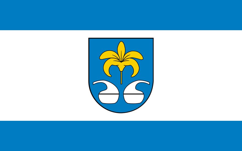 Flaga miasta Nowa Sarzyna