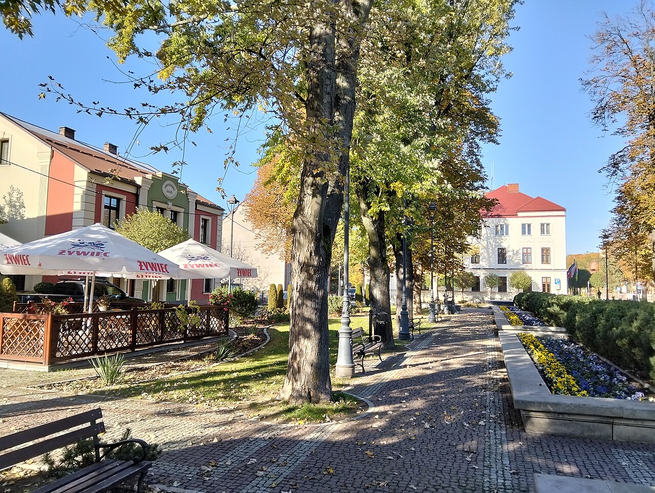 Widok miasta Nisko