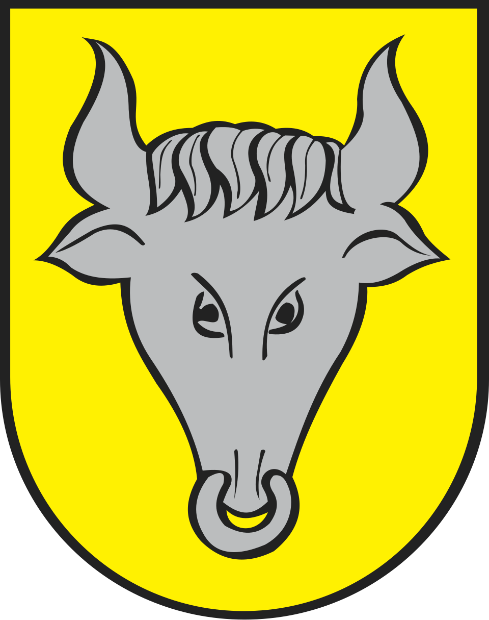 Herb miasta Dynów