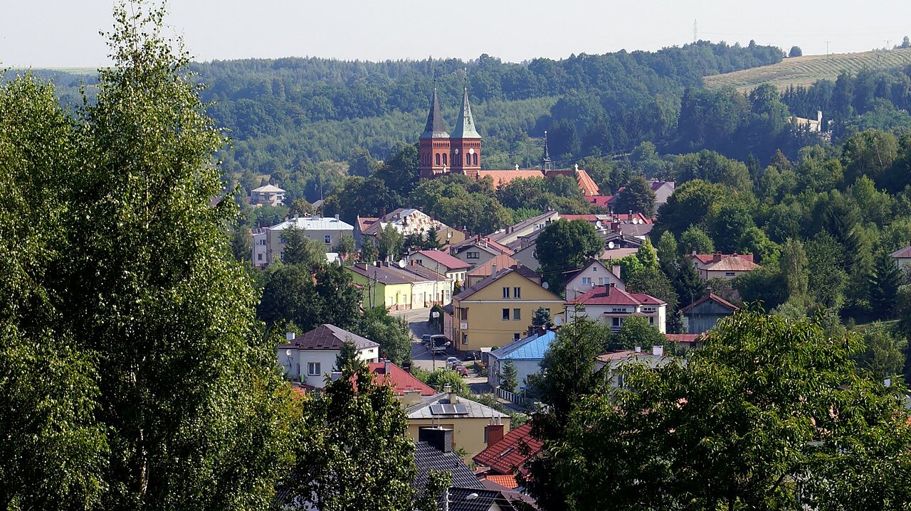 Widok miasta Błażowa