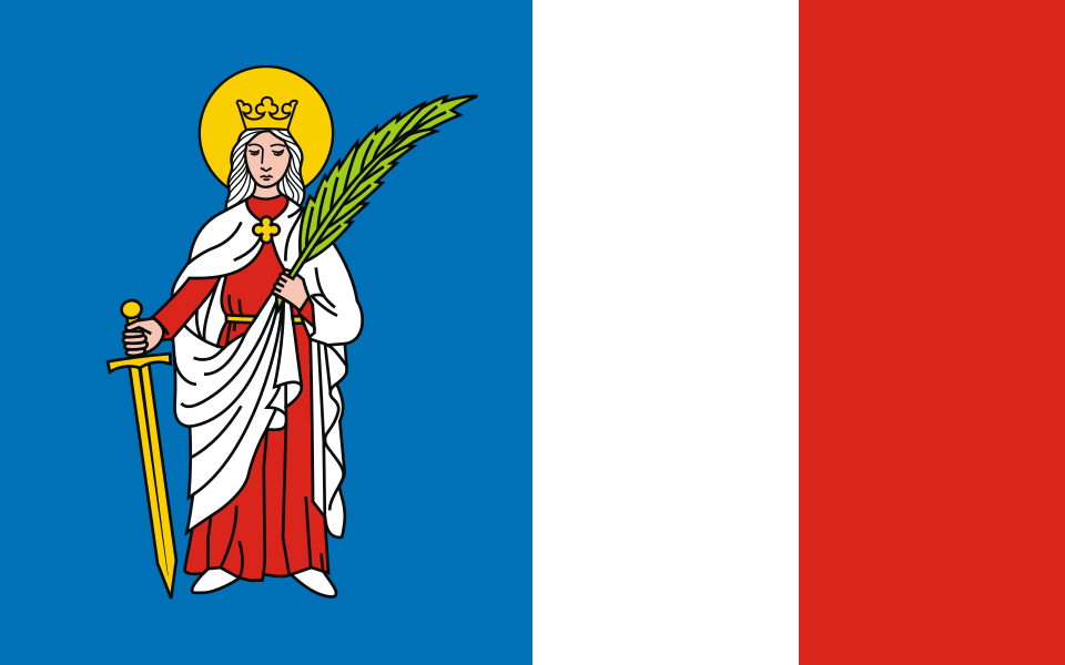 Flaga miasta Tyczyn