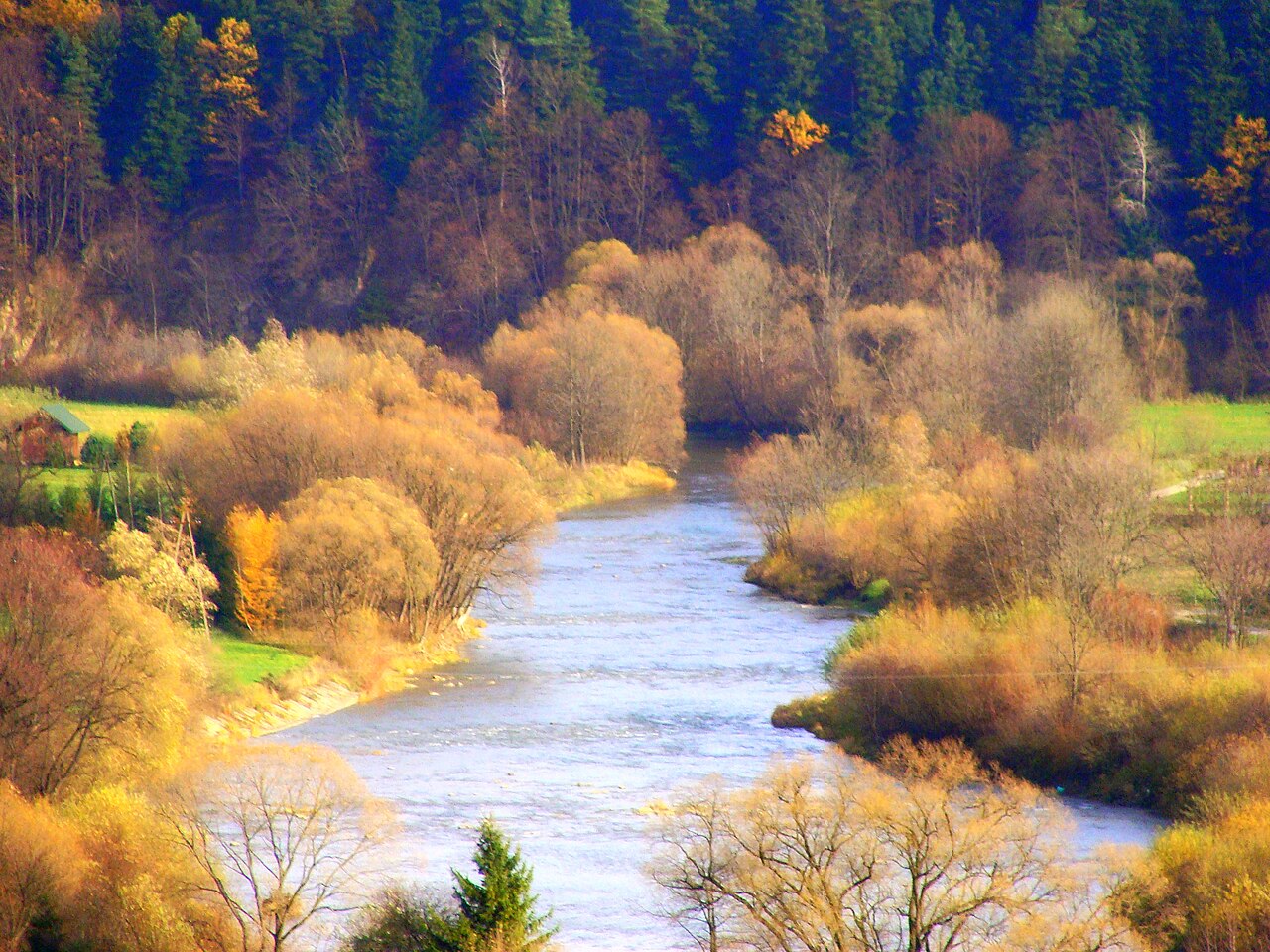 Widok miasta Zagórz