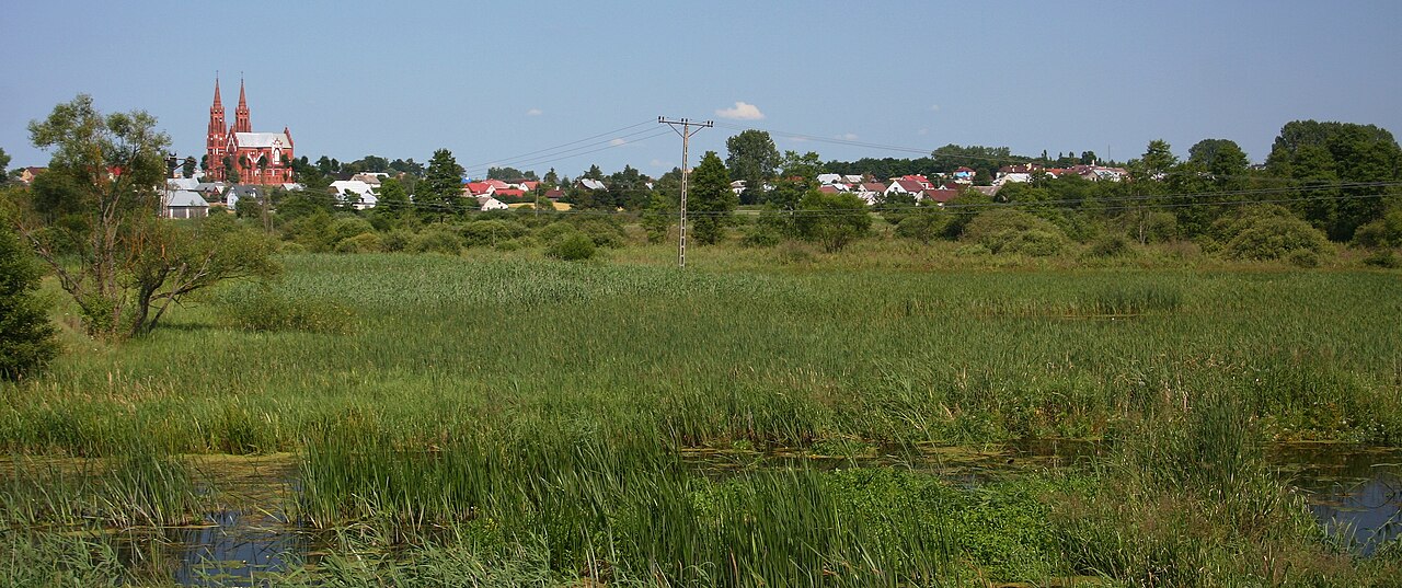 Widok miasta Lipsk