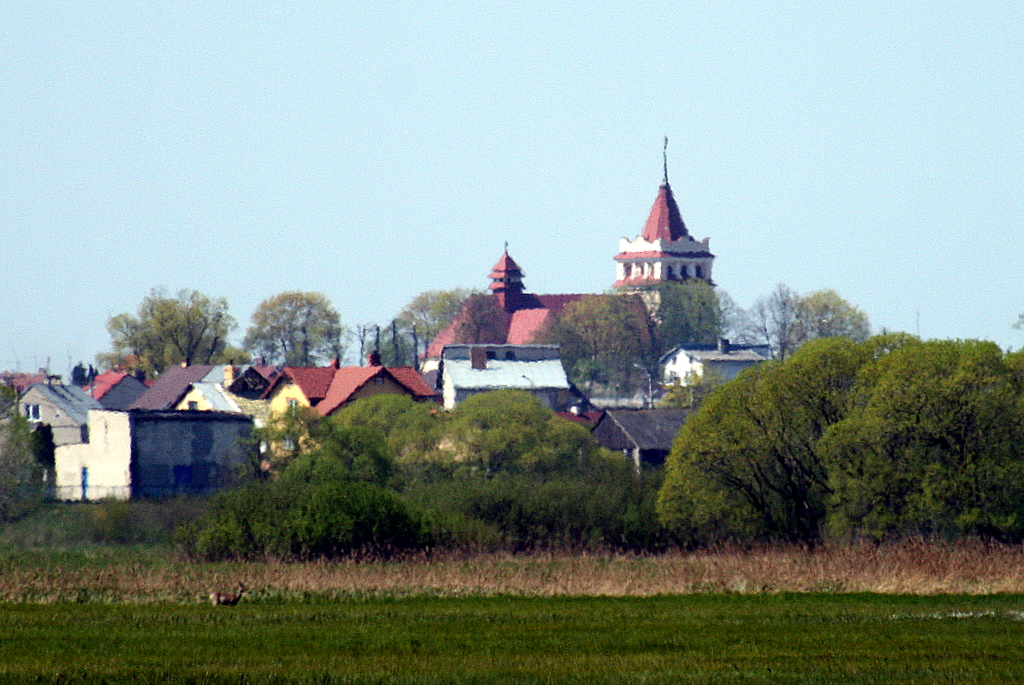 Widok miasta Łapy