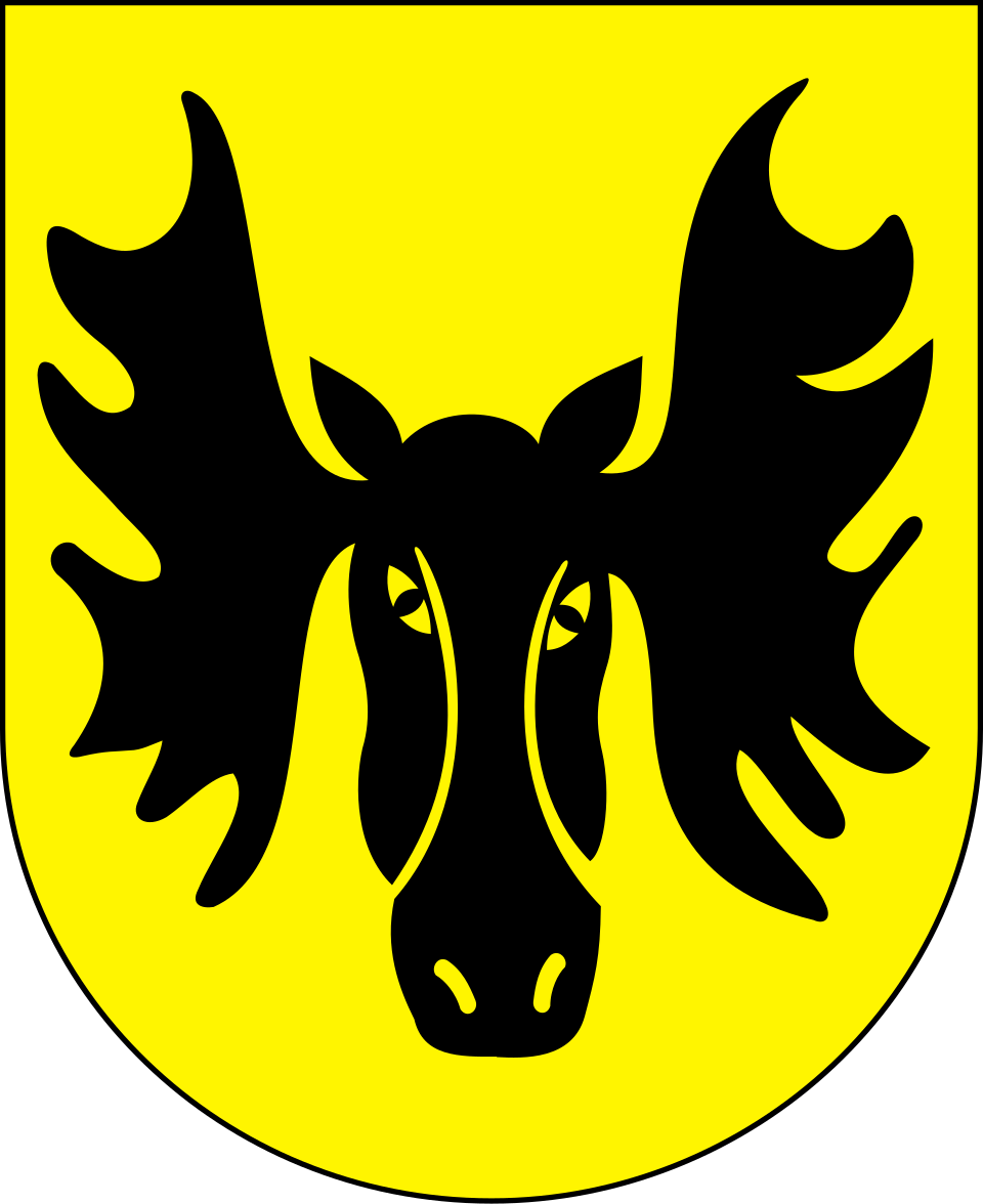 Herb miasta Wasilków