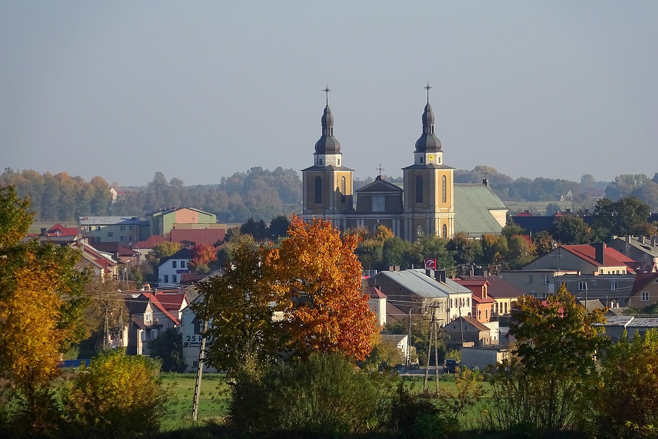Widok miasta Stawiski