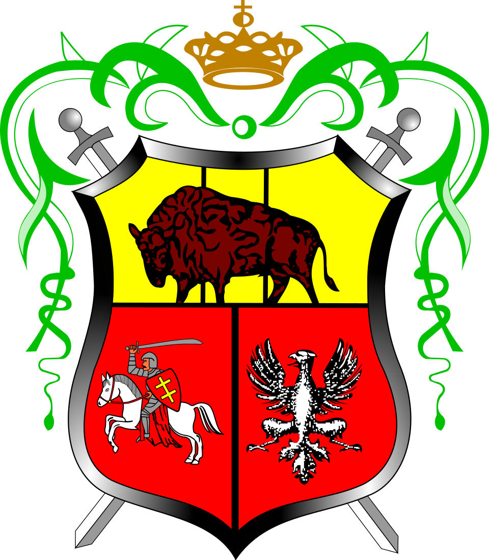 Herb miasta Drohiczyn