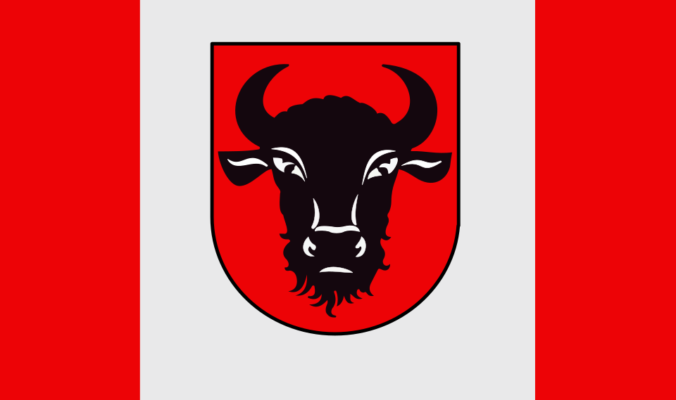 Flaga miasta Zambrów