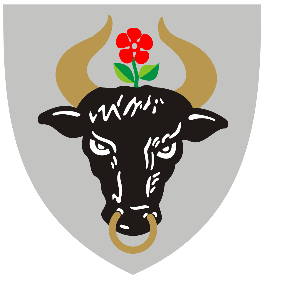 Herb miasta Chojnice