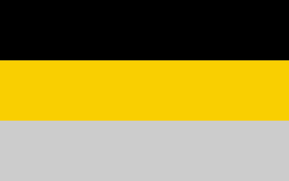 Flaga miasta Chojnice