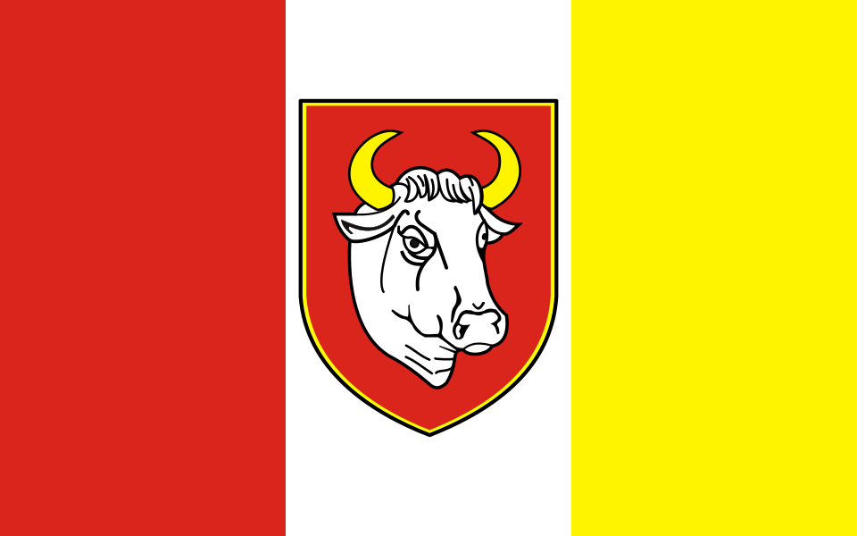 Flaga miasta Człuchów