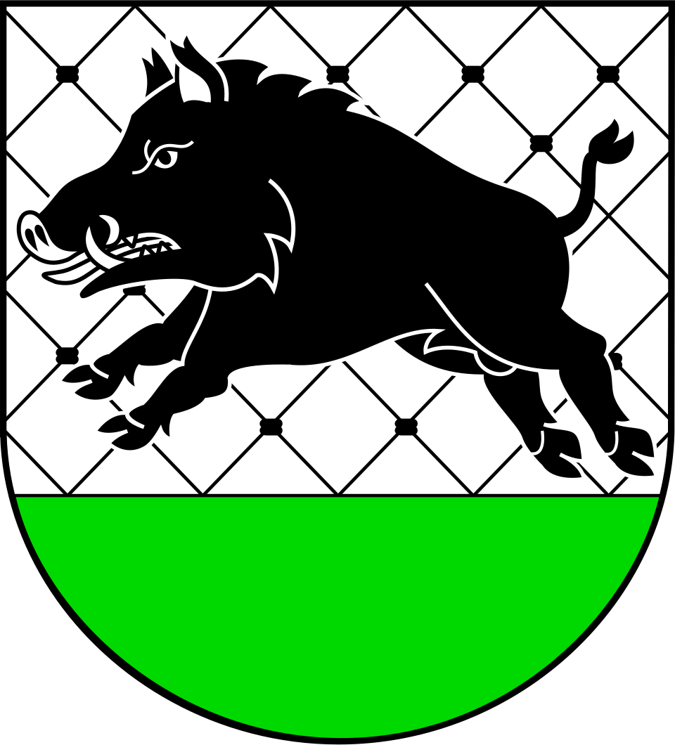 Herb miasta Debrzno