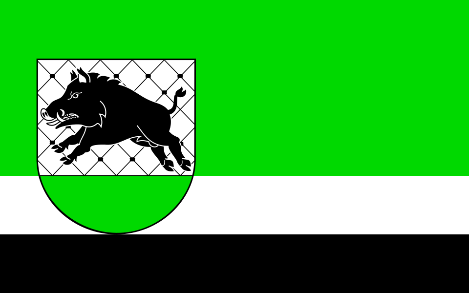 Flaga miasta Debrzno
