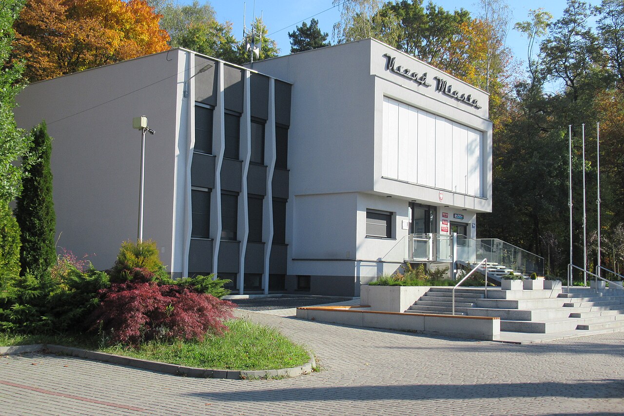Widok miasta Wojkowice