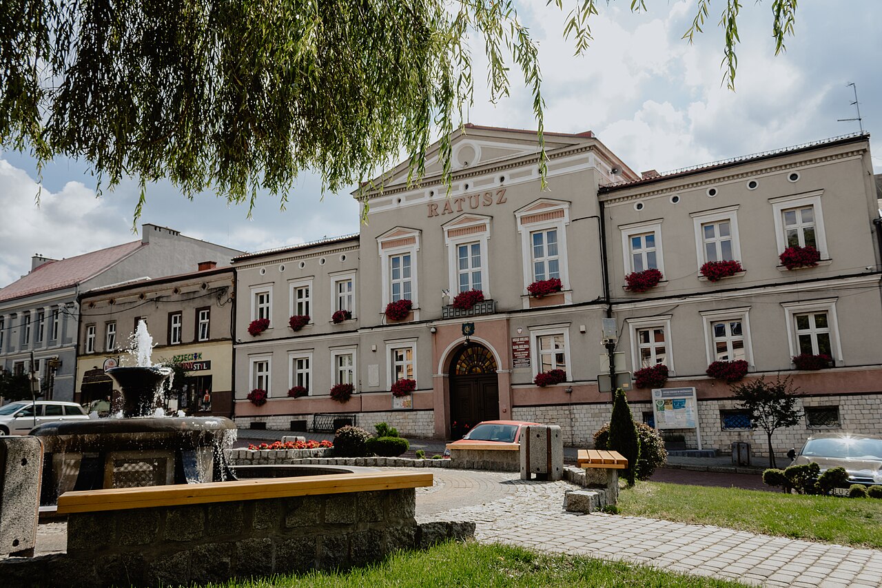 Widok miasta Woźniki