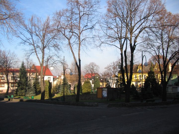 Widok miasta Krzanowice