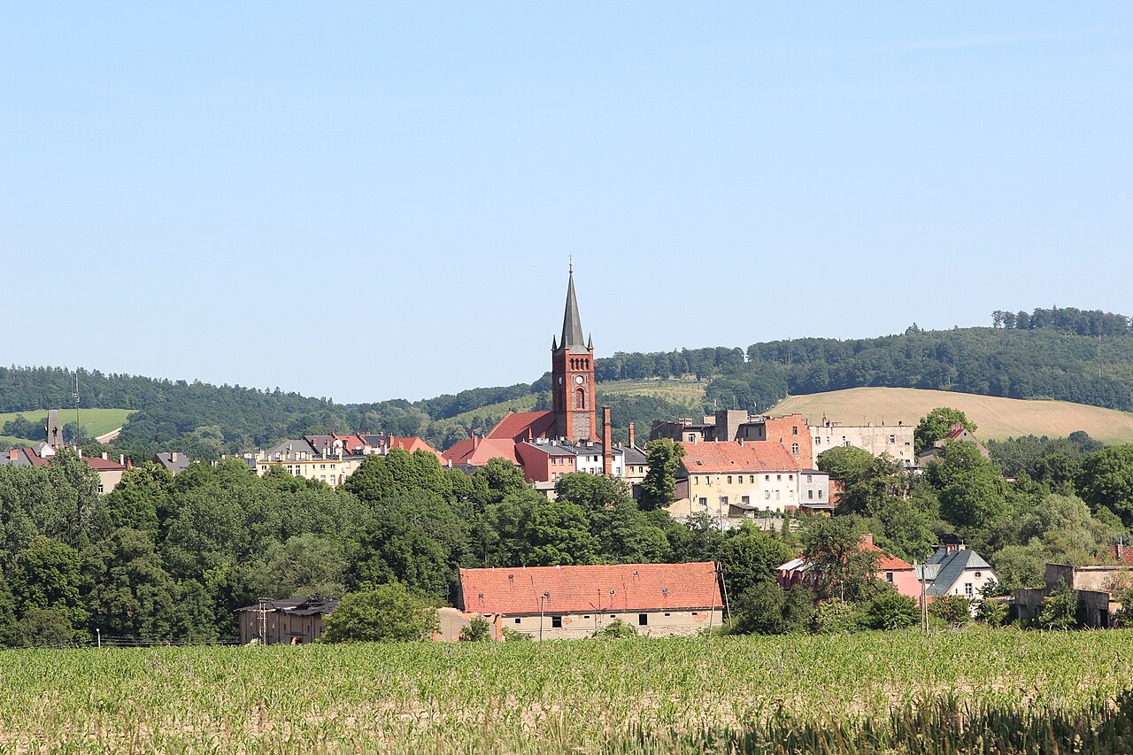 Widok miasta Niemcza