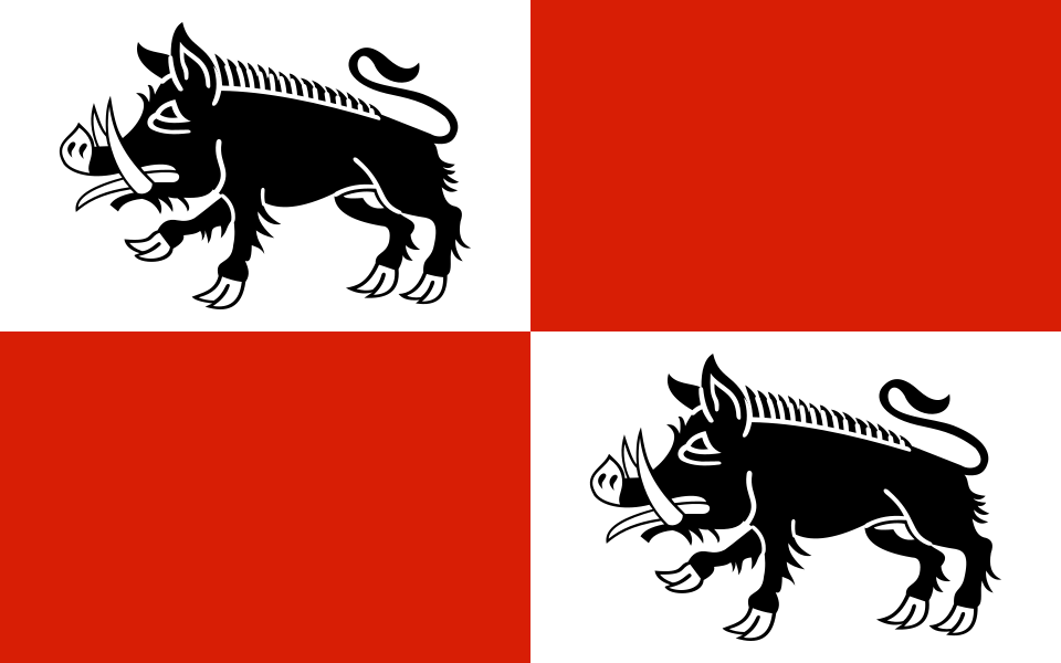 Flaga miasta Mieroszów
