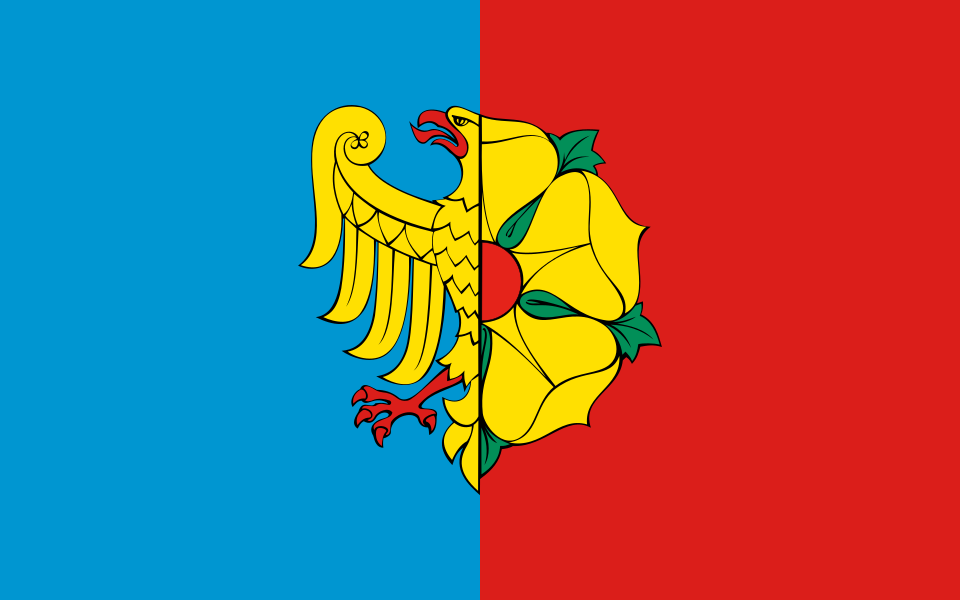 Flaga miasta Wodzisław Śląski