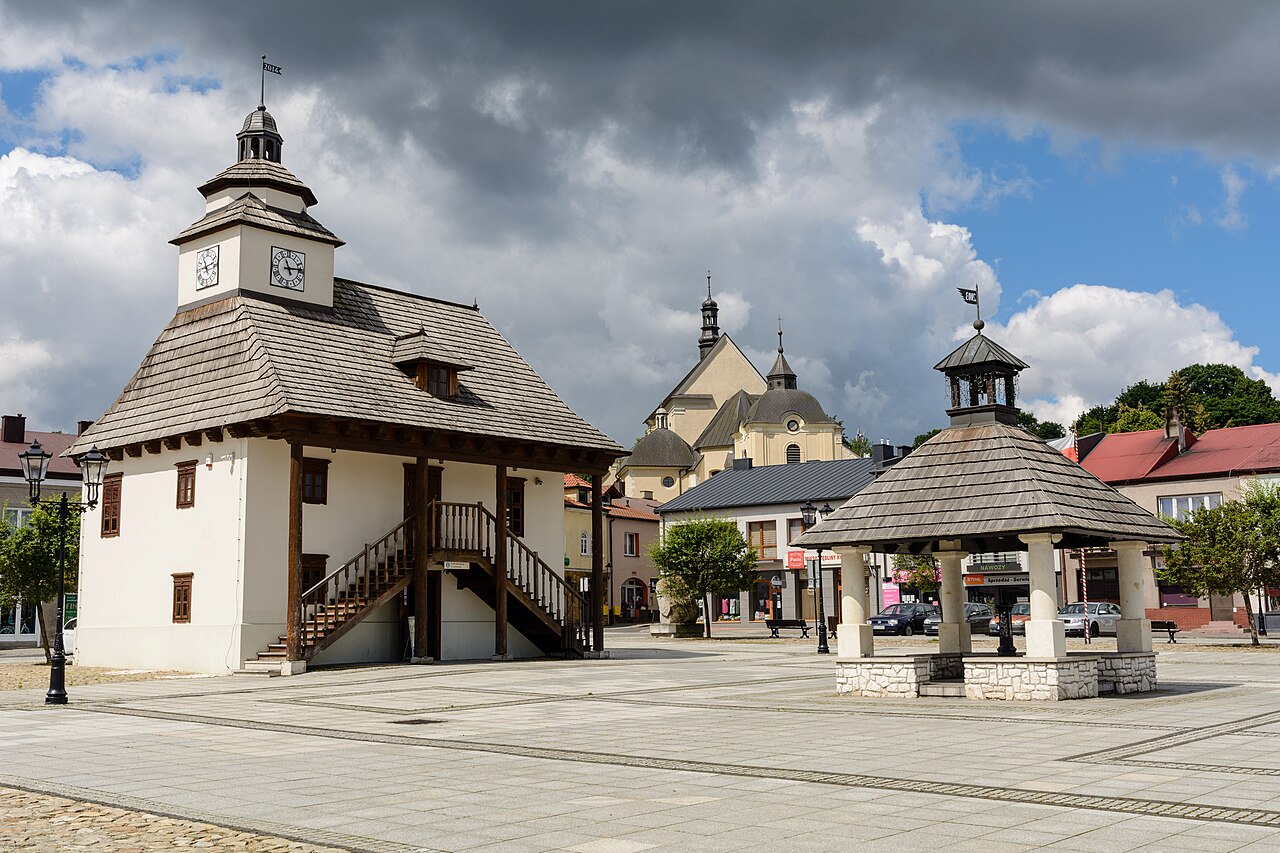 Widok miasta Pilica
