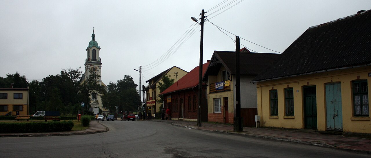 Widok miasta Włodowice