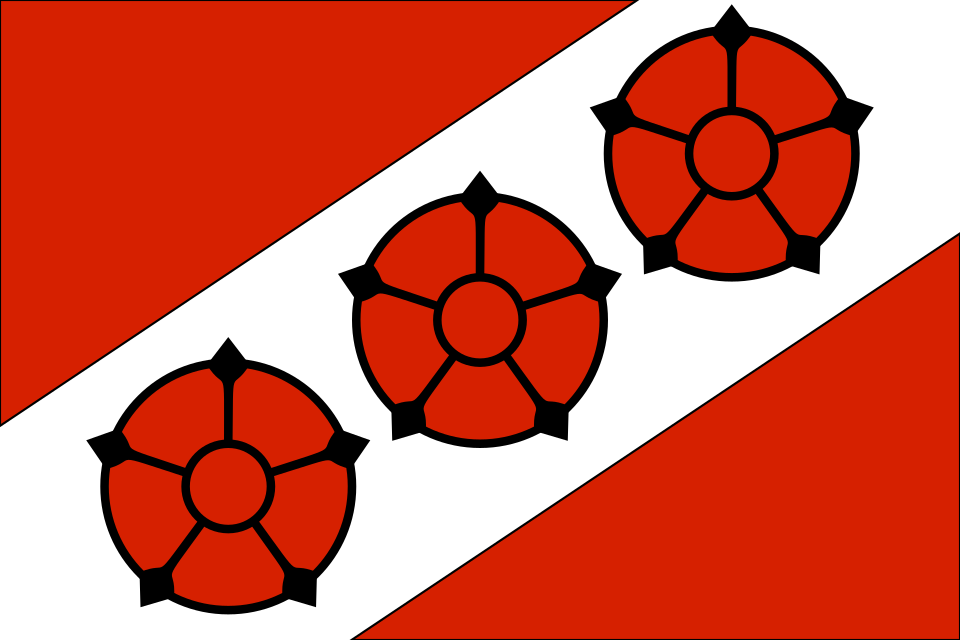 Flaga miasta Brzeg Dolny