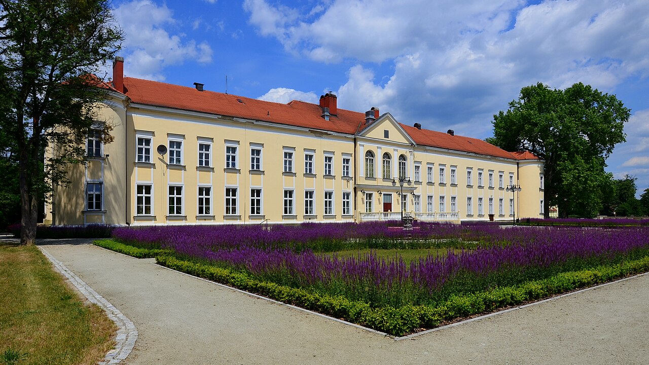 Widok miasta Brzeg Dolny