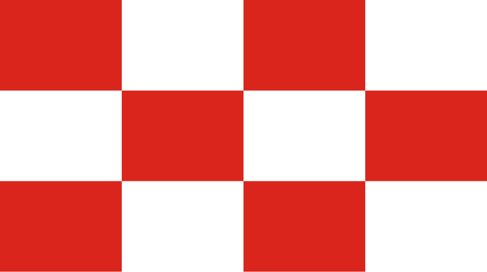 Flaga miasta Wołów