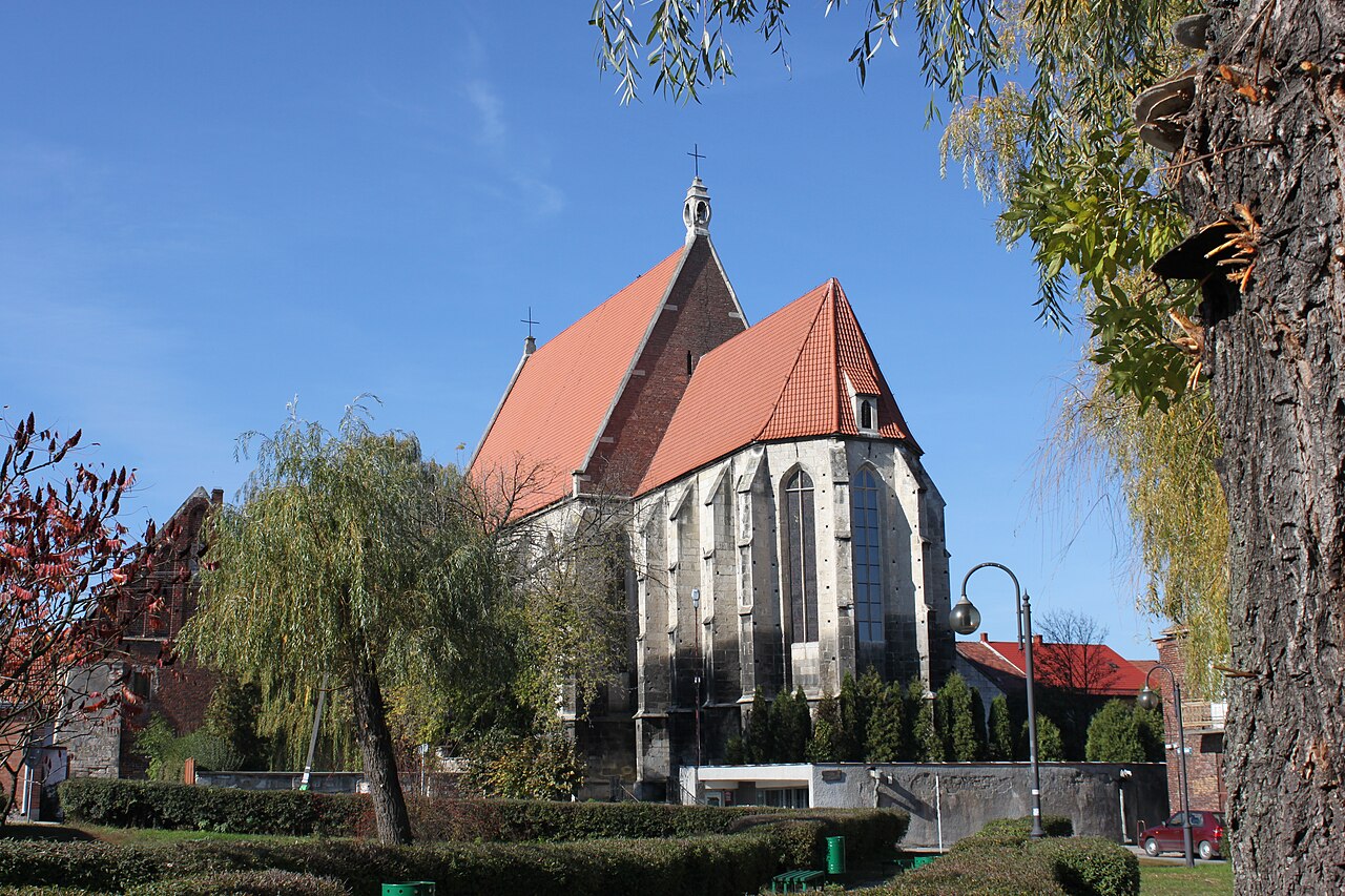 Widok miasta Wiślica