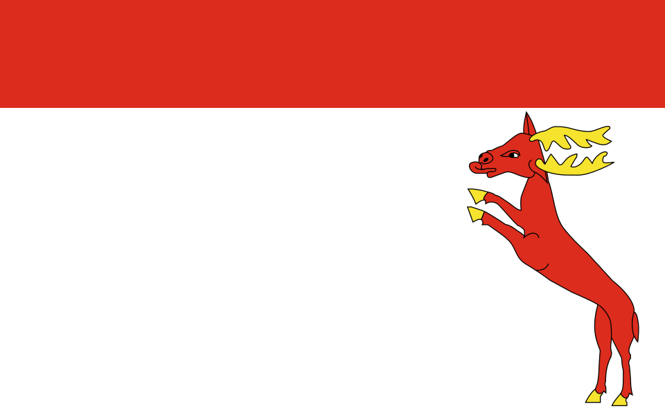 Flaga miasta Sobków