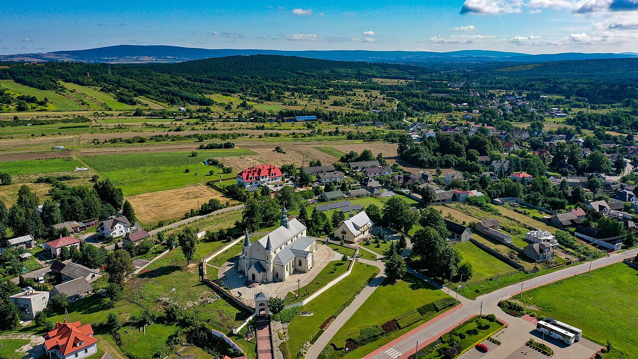 Widok miasta Daleszyce