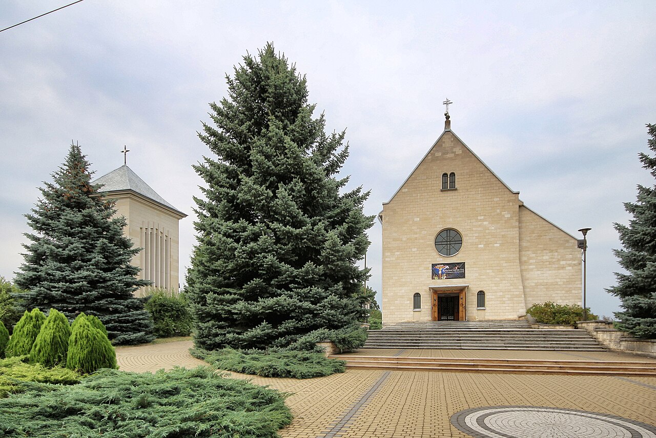 Widok miasta Morawica