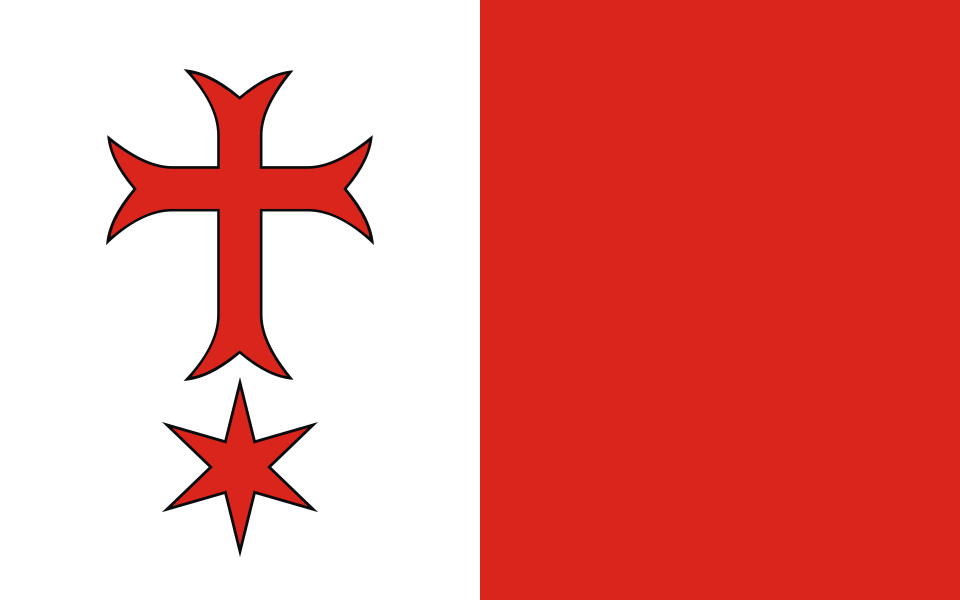 Flaga miasta Siechnice