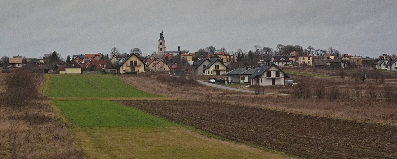 Widok miasta Piekoszów
