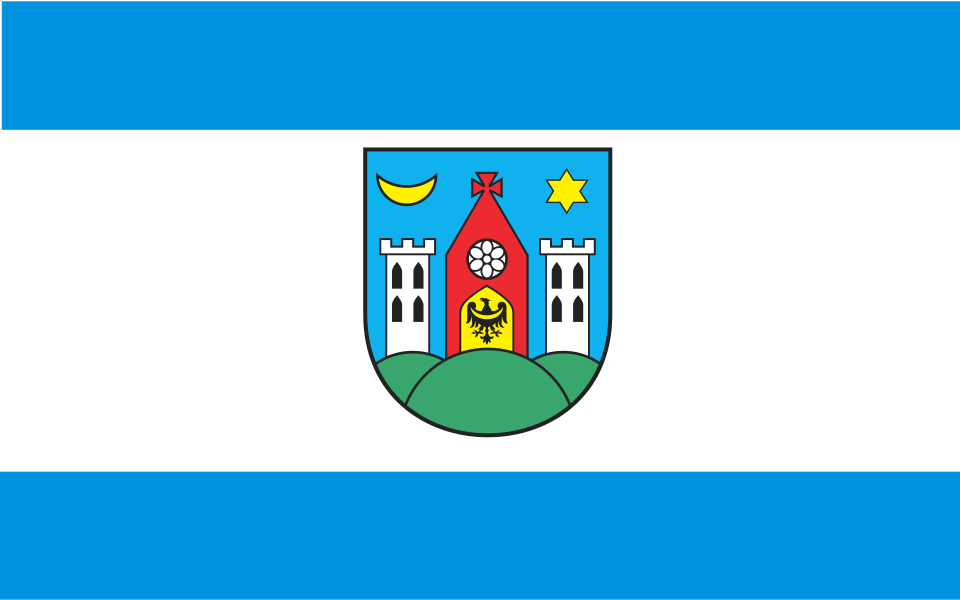 Flaga miasta Ziębice