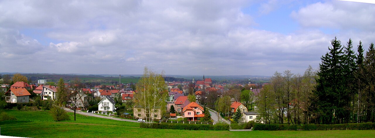 Widok miasta Ziębice