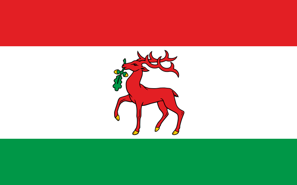 Flaga miasta Dobre Miasto