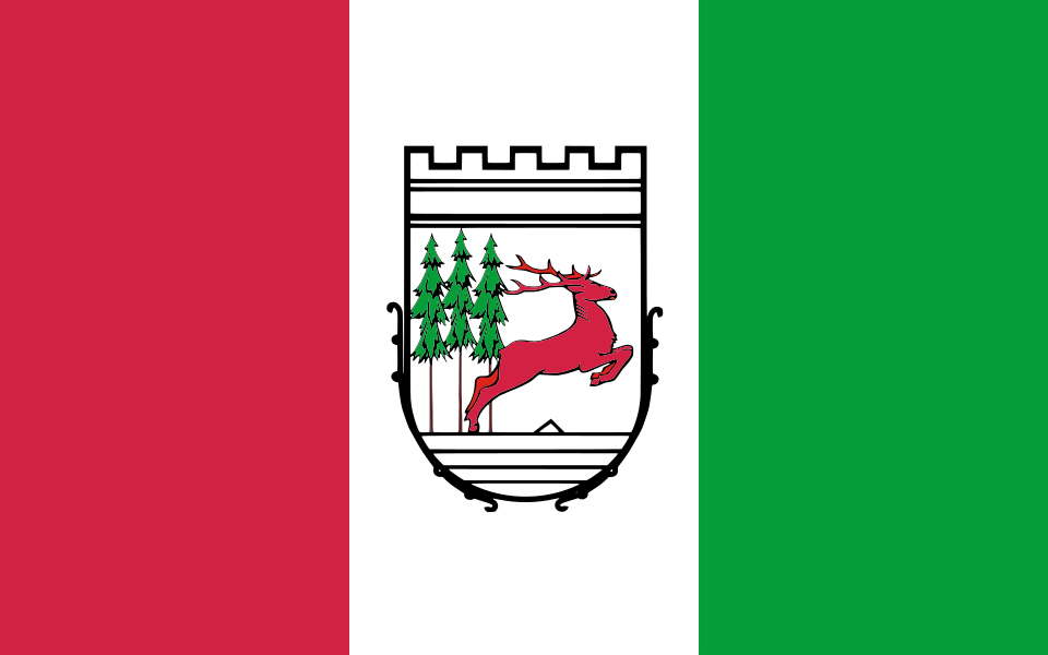 Flaga miasta Szczytno
