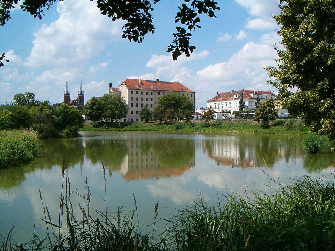 Widok miasta Opatówek