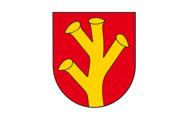 Flaga miasta Rychwał