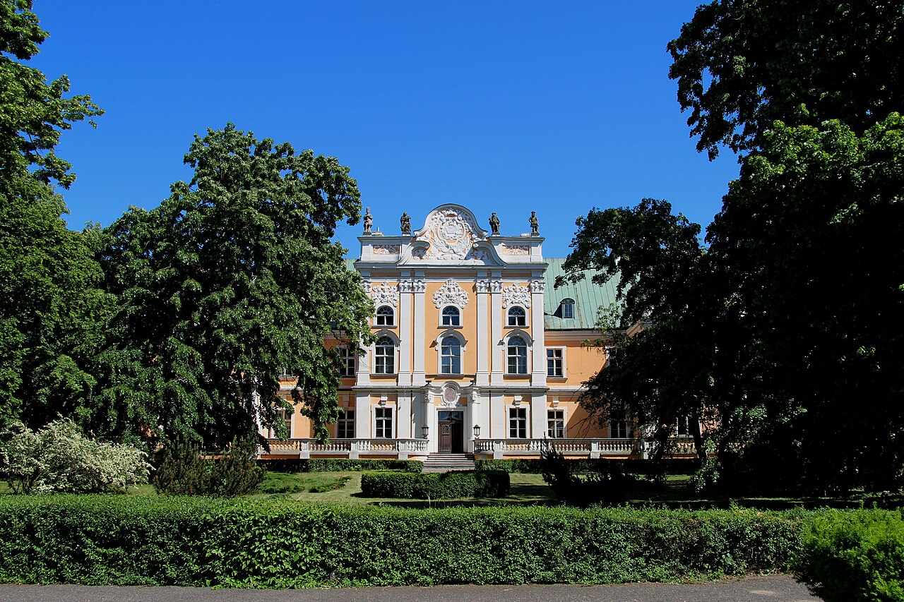 Widok miasta Czempiń