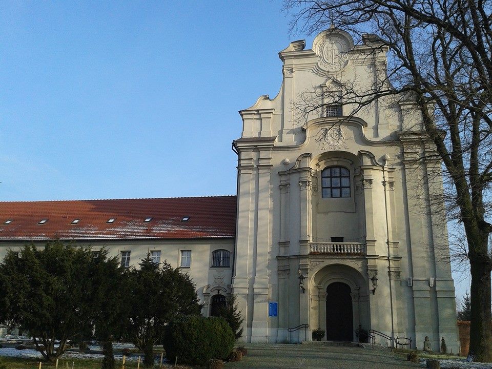 Widok miasta Osieczna