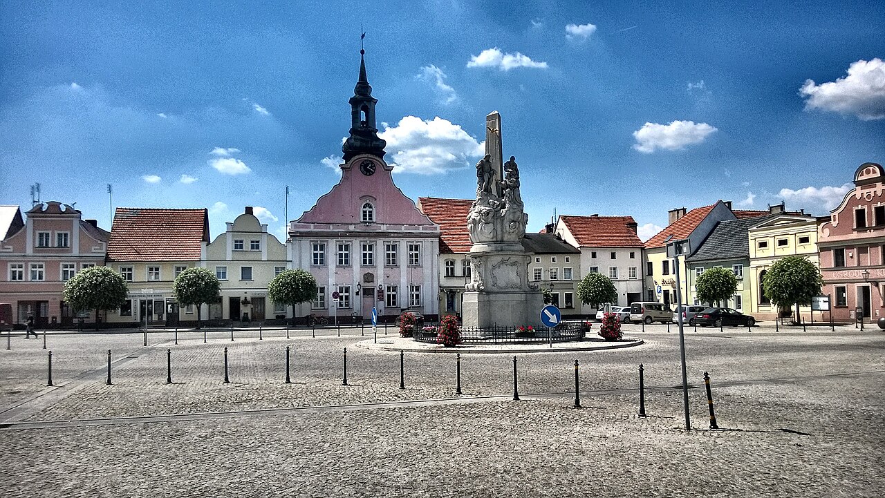Widok miasta Rydzyna