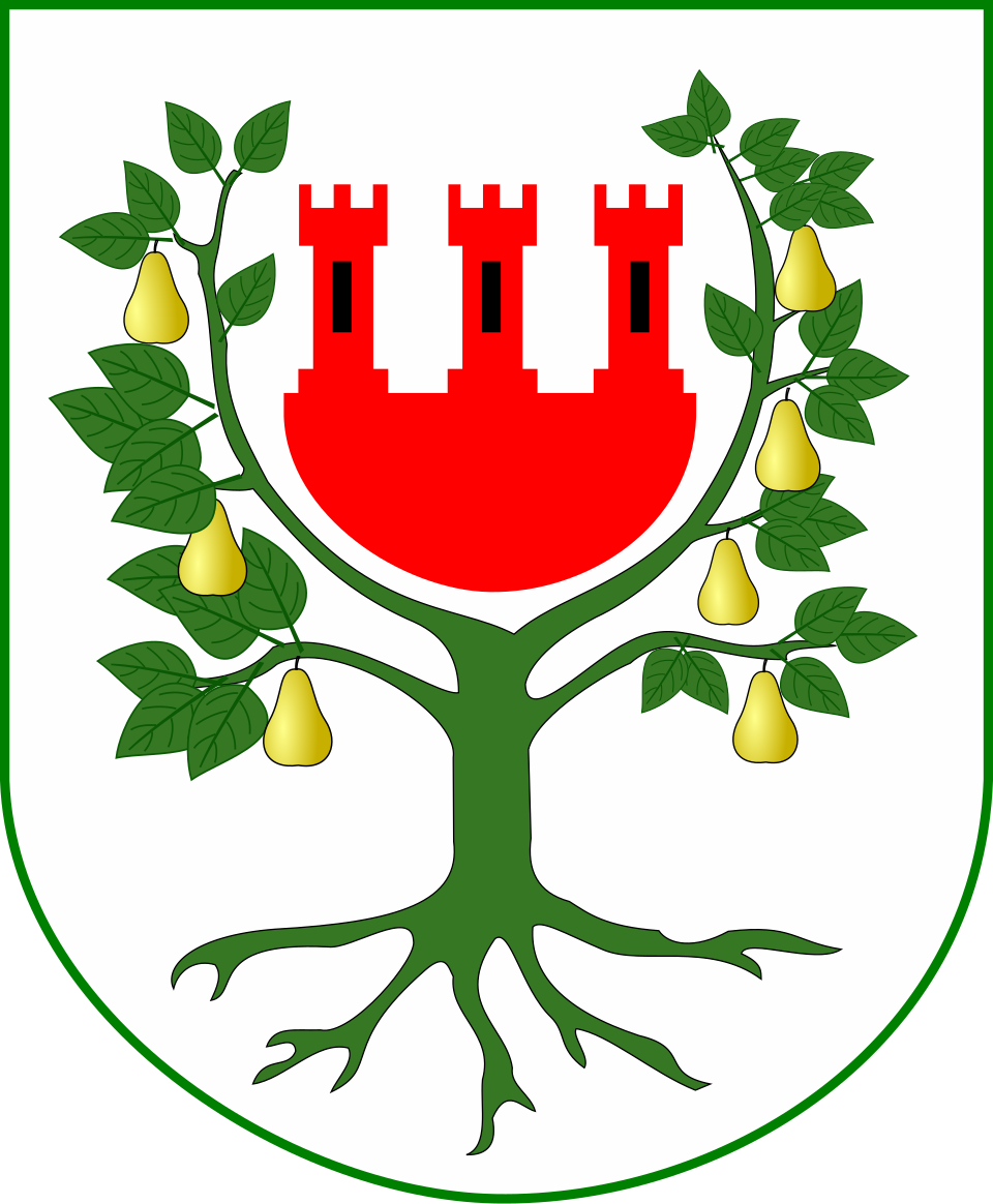Herb miasta Międzychód