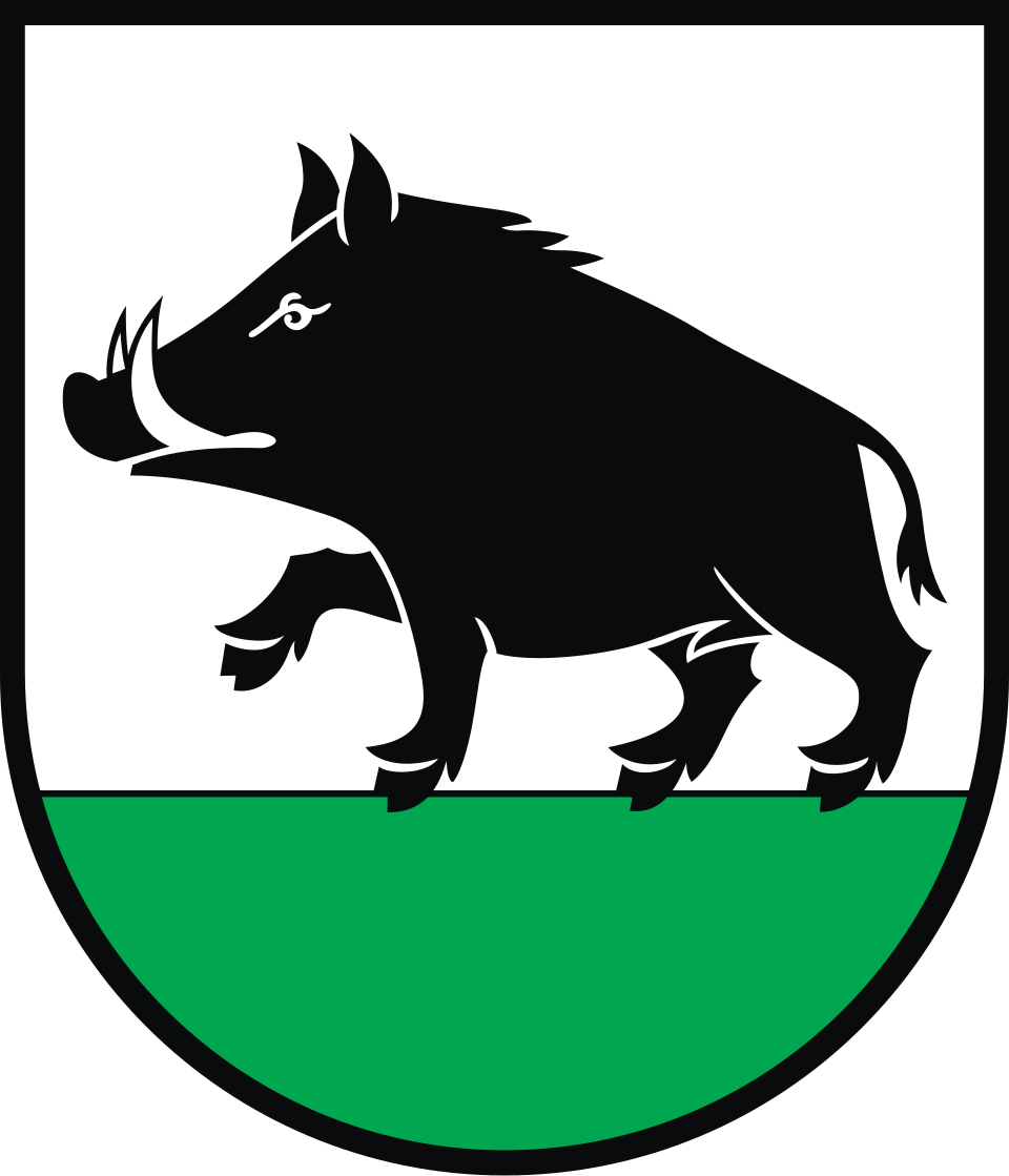 Herb miasta Łobżenica