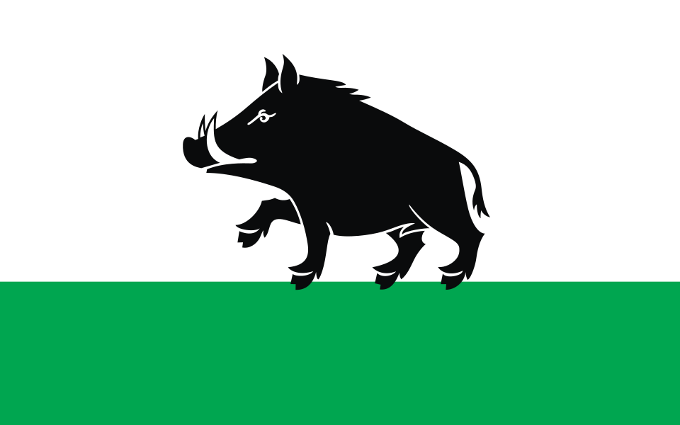 Flaga miasta Łobżenica