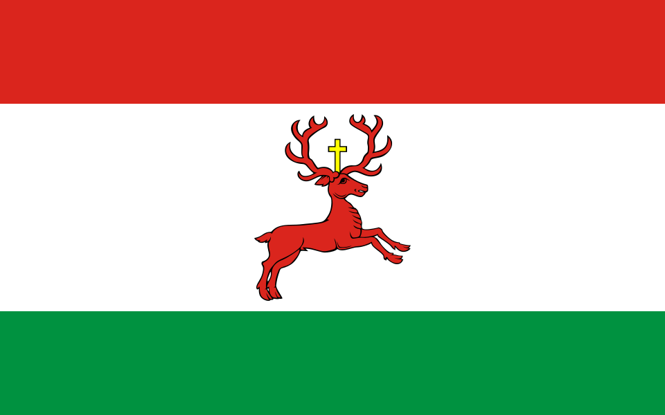 Flaga miasta Wyrzysk
