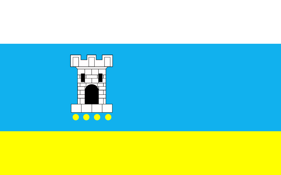 Flaga miasta Pleszew