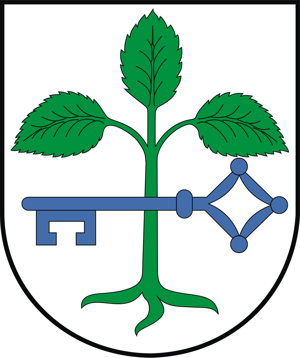 Herb miasta Buk